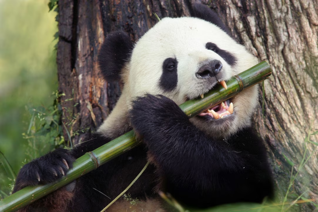 Bild von Zoo Berlin
